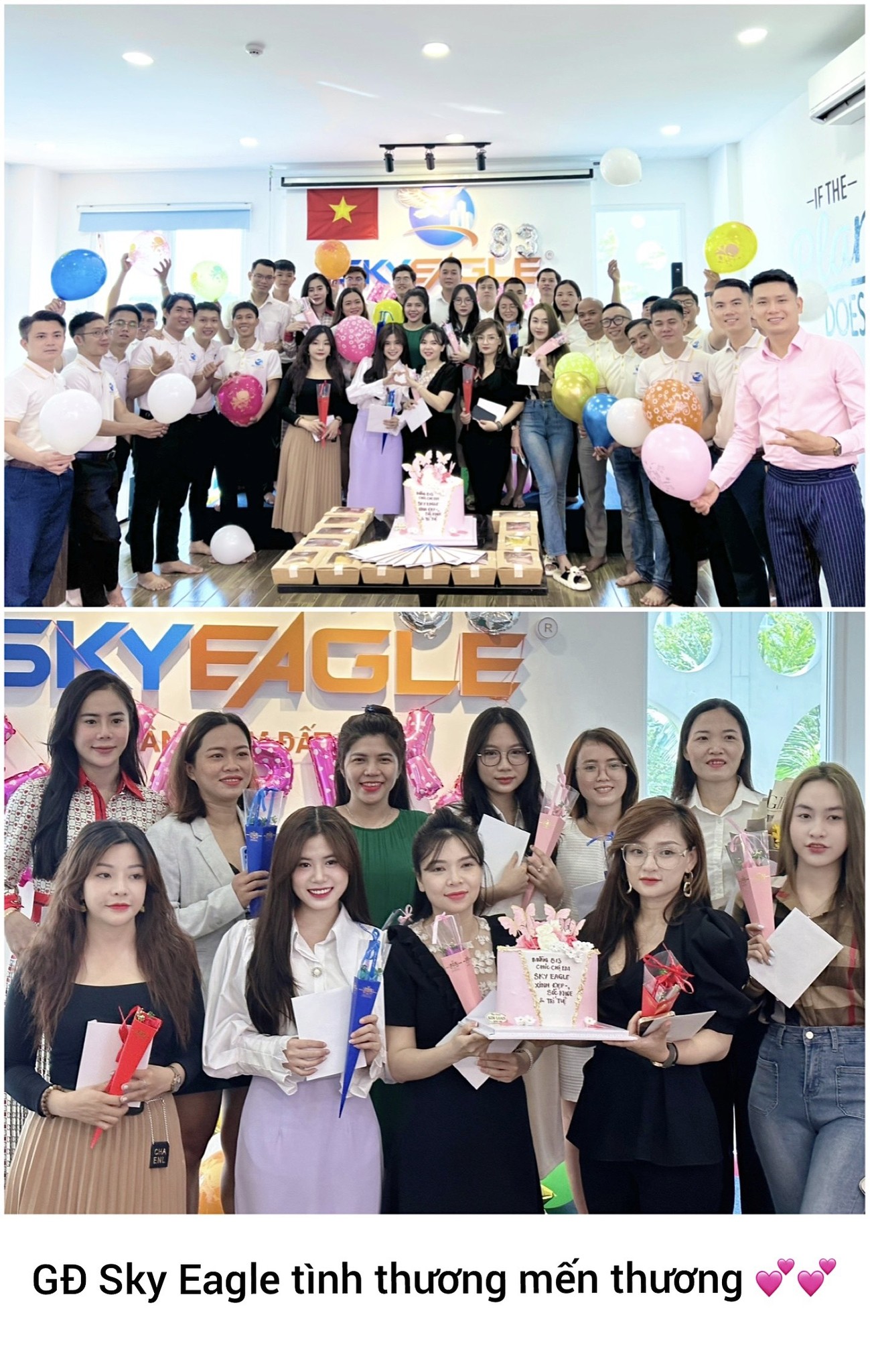 lĩnh vực hoạt động